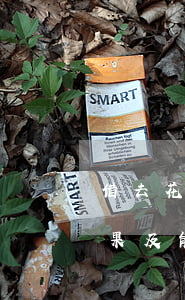借去花逾期一天怎么補救？逾期后果及能否再借款解析